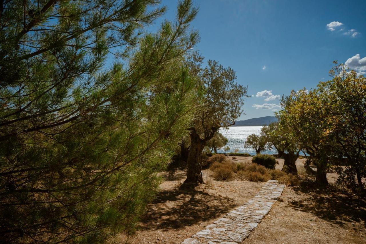 Traditional Architecture Seafront Stone House In 25000Sqm Olive Grove - C Villa Alyfanta Ngoại thất bức ảnh